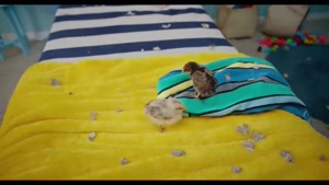 دانلود سریال فوفو قسمت ۸