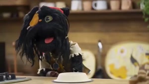 کارناوال رامبد جوان قسمت ۱ تا ۱۰ دهم