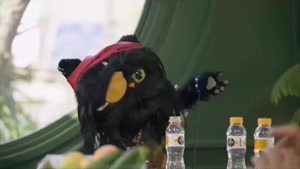 کارناوال رامبد جوان / صدا پیشه افتو در کارناوال