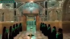hosseinshojaee84