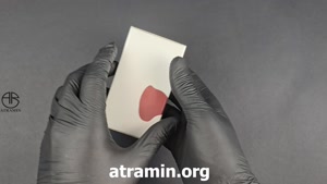 آنباکسینگ عطر فنک میلان در عطر آمین 