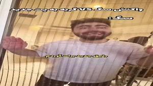 طنز میکی کلافه - واکنش سگ VS گربه به پت جدید😂 - Mikikalafe
