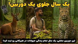 مستند حیوانات _ مستند زندگی حیوانات در یکسال