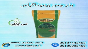 بذر چمن برموداگراس ( بذر چمن گرمسیری آفریقایی )