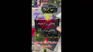 کلیپ در مورد روز پسر / استوری روز پسر / روز پسر