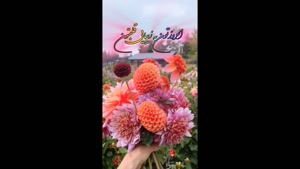 کلیپ سلام صبح بخیر با انرژی مثبت