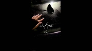 کلیپ غمگین احساسی برای استوری / خیلی دلم تنگ شده