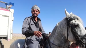 اولین جشنواره شو اسب سواری در پیرانشهر