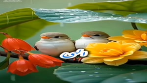 سلام صبحتون بخیر مهربونا