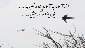 به آدما پناه نبرید/کلیپ غمگین برای استوری