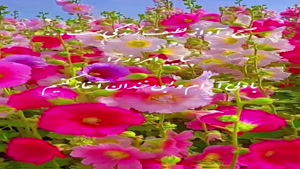 درود روزتان بخیر و لبخندتان پایدار