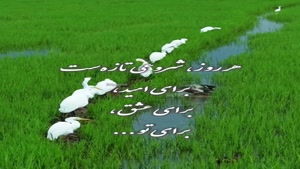 درود روزت خوش و پر از عشق و امید