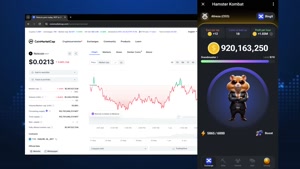 آموزش کیف پول صرافی ایرانی و قیمت همستر 