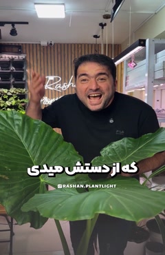 خرید، معرفی و بررسی لامپ رشد برای فیلودندرون و بابا آدم