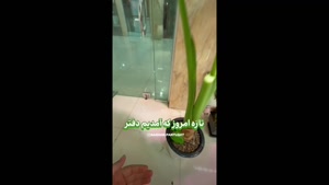 خرید لامپ رشد گیاه