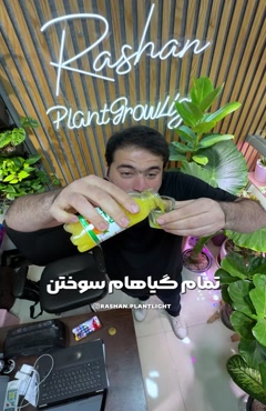 خرید لامپ رشد گیاه لاینر