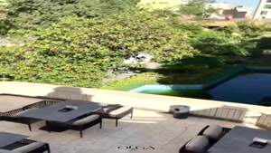 کلینیک الگا