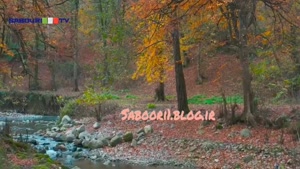 شبکه ی اینترنتی مجتبی صبوری