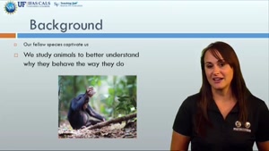 Why we study animal behavior