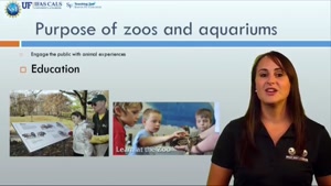 Why we study animal behavior