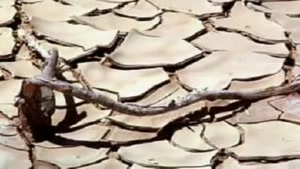 Desertification1