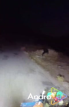 بازیگرمهردادموسی پور