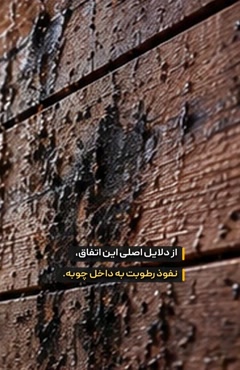 جلوگیری از لکه افتادن روی نمای چوب ترمو | محافظت از ترموود با وودگارد WOOD.guard