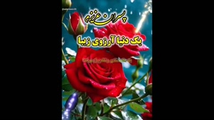تبریک روز پسر/ استوری روز پسر