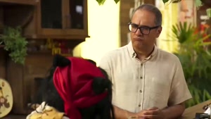 دانلود کارناوال رامبد جوان قسمت ۱۷ هفدهم