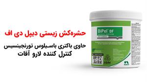 سفارش حشره کش زیستی دیپل دی اف برای نابودی لارو آفات کشاورزی