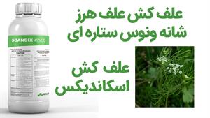 خرید علف کش اسکاندیکس اصل Scandix برای علف هرز شانه ونوس