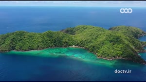 شباهت حیوانات ۴