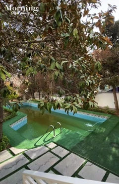 کلینیک الگا