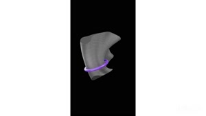 پیرسینگ کانچ