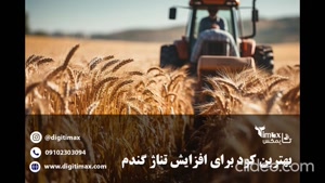 بهترین کود برای افزایش تناژ گندم | تایمکس