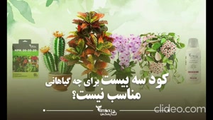 کود سه بیست برای چه گیاهانی مناسب نیست؟ - دیجی تایمکس