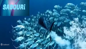 ژرفای دریاهای گرمسیری