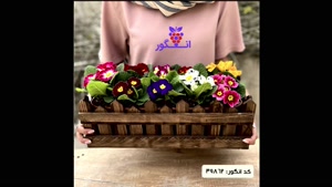 سفارش گل پامچال شیک