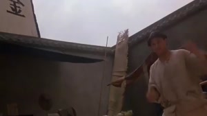 فیلم رزمی  میمون آهنی دوبله فارسی