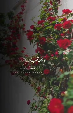 شادترین کلیپ روز دختر