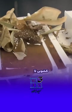 پنجره کشویی