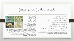 بخش نهایی فصل ۱۲ علوم نهم