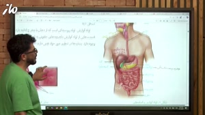 حث قاس
