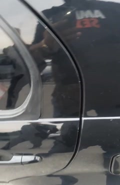 راین v5