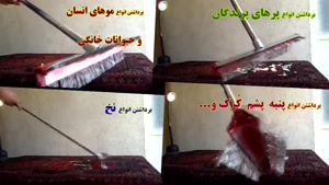 انواع کاربرد جارومو؛ برداشت مو، نخ،پرز، پشم، پَر و ...  
