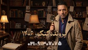 دوره جامع ادبیات عمومی دوازدهم 1406 کلاسینو استاد شاهین زاد