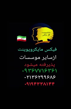 مایکروپوینت 