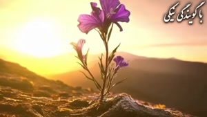 کلیپ زیبا برای اسم سمانه 