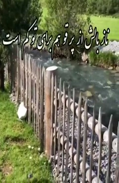 کلیپ سلام صبح زیباتون بخیر