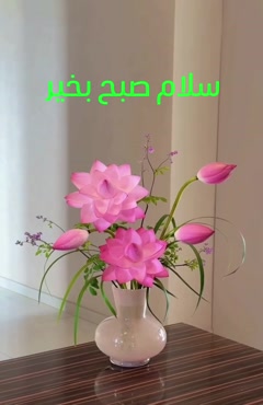 کلیپ های شاد صبح بخیر